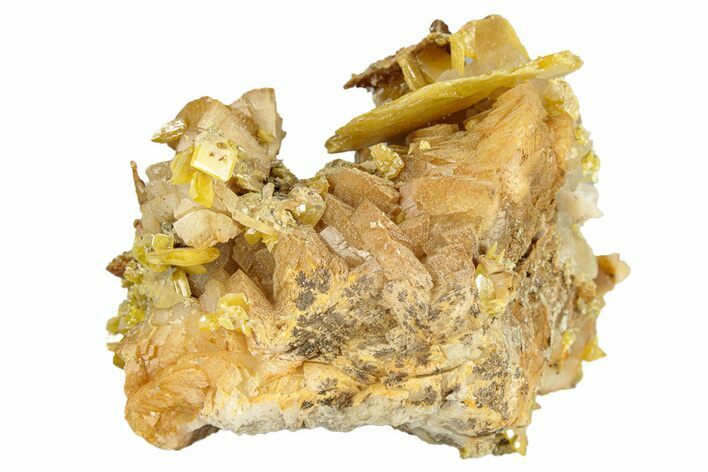 Bright Yellow Wulfenite on Dolomite - Morocco #258064